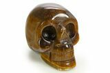 Polished Tiger's Eye Skull - South Africa #320182-1